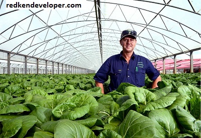 Horticultural Crops Development Authority